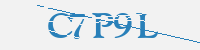 보안문자